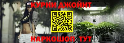 кокс Гатчина