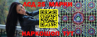 кокс Гатчина