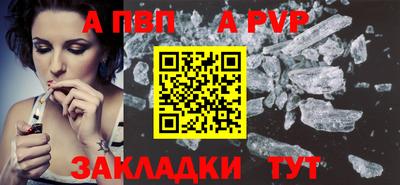 кокс Гатчина