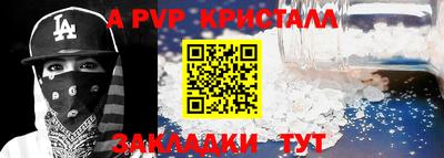 кокс Гатчина
